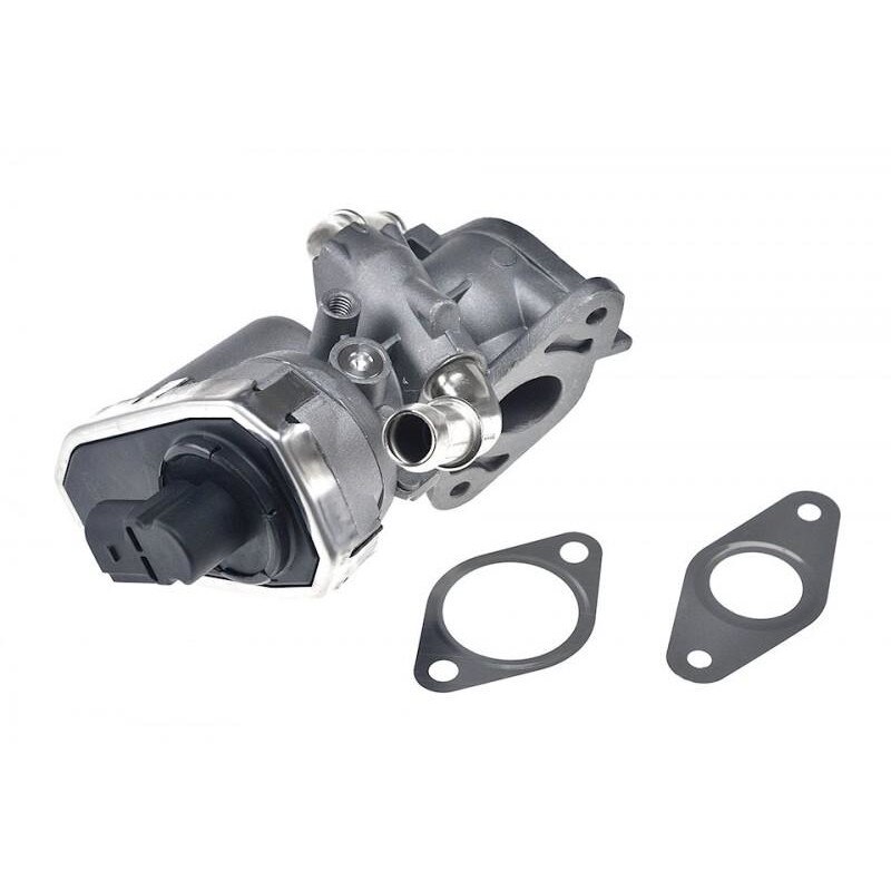 Egr Peugeot Boxer (2006->) 1480549