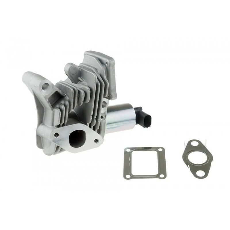 Egr Renault Megane II (2003-2008) 7701065038