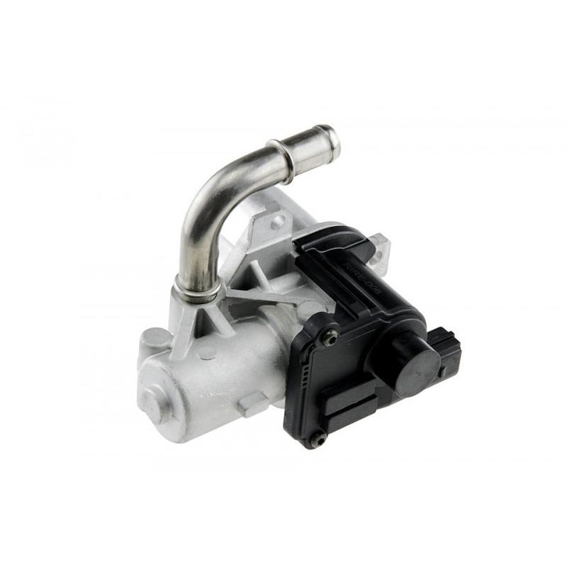 Egr Renault Megane III (2008->) 8200846454