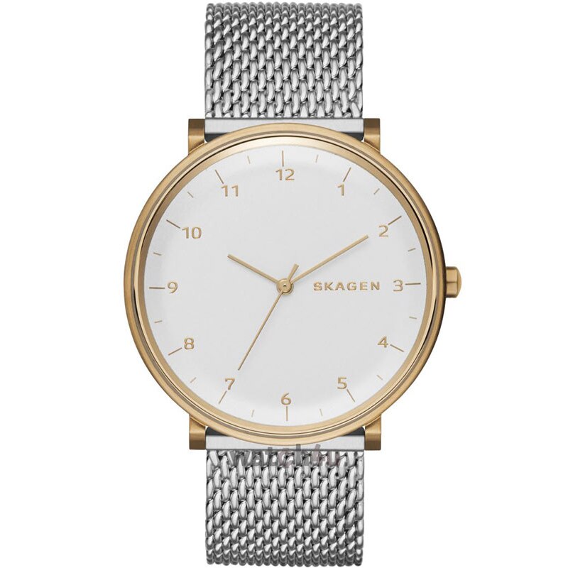 Ceas barbatesc Skagen SKW6170 Quartz Auriu
