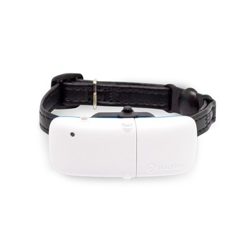 Dispozitiv Monitorizare, Tractive IKATI localizator GPS pentru pisici — aparat de localizare si monitorizare a activitatii pentru orice zgarda de pisici Dispozitiv Monitorizare, Tractive IKATI localizator GPS pentru pisici — aparat de localizare si monitorizare a activitatii pentru orice zgarda de pisici