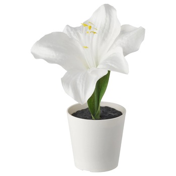 Floare artificiala Amaryllis alb, planta decorativa 16cm, ghiveci alb FMD229 Floare artificiala Amaryllis alb, planta decorativa 16cm, ghiveci alb FMD229