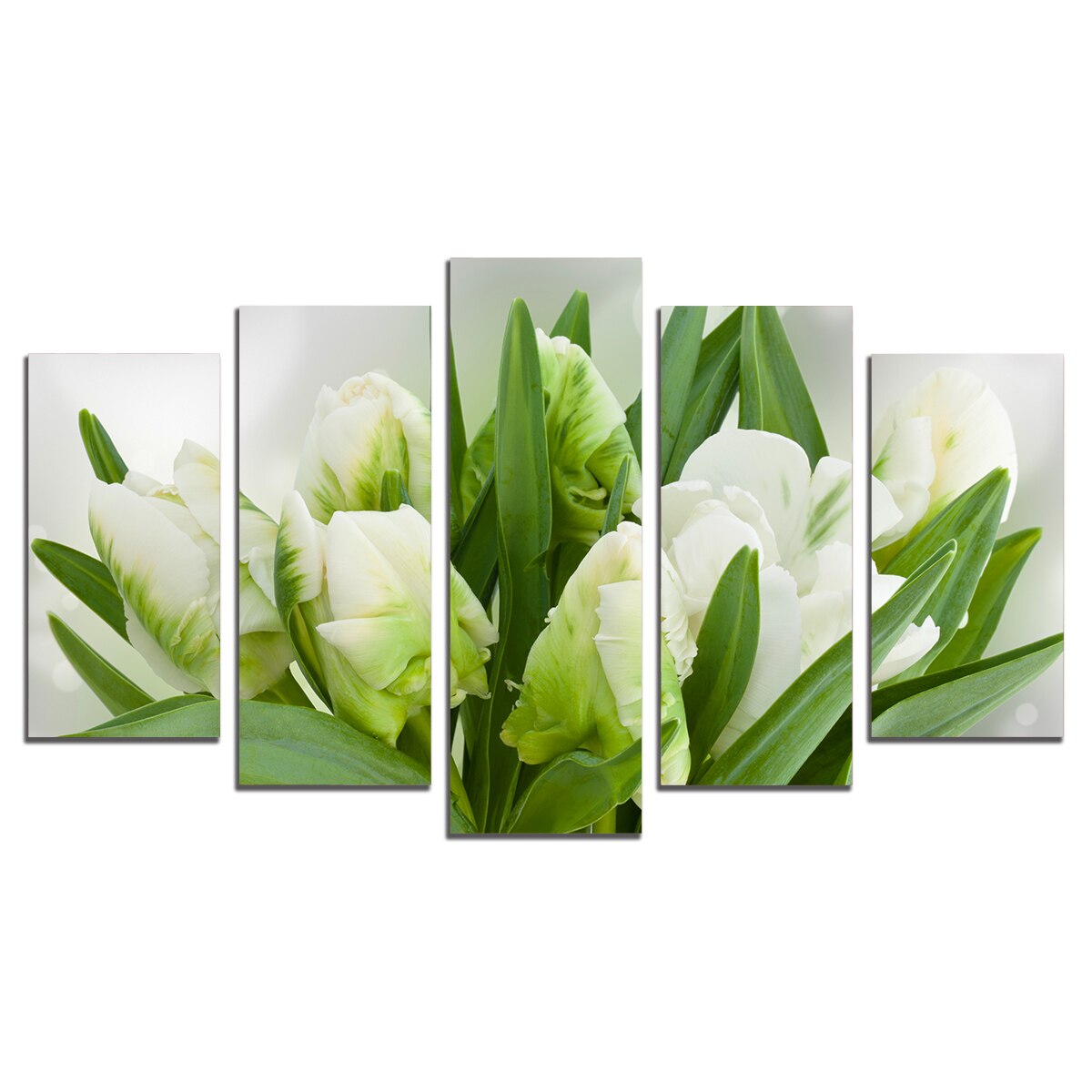 Set Tablouri Multicanvas 5 Piese, Lalele albe, 158х90 cm