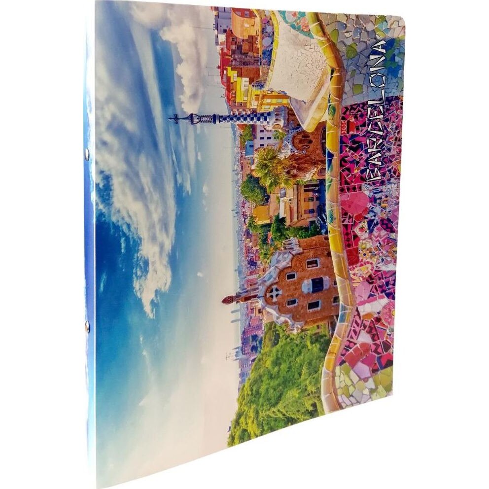 Dosar pentru documente Panta Plast 2 inele A4 35mm