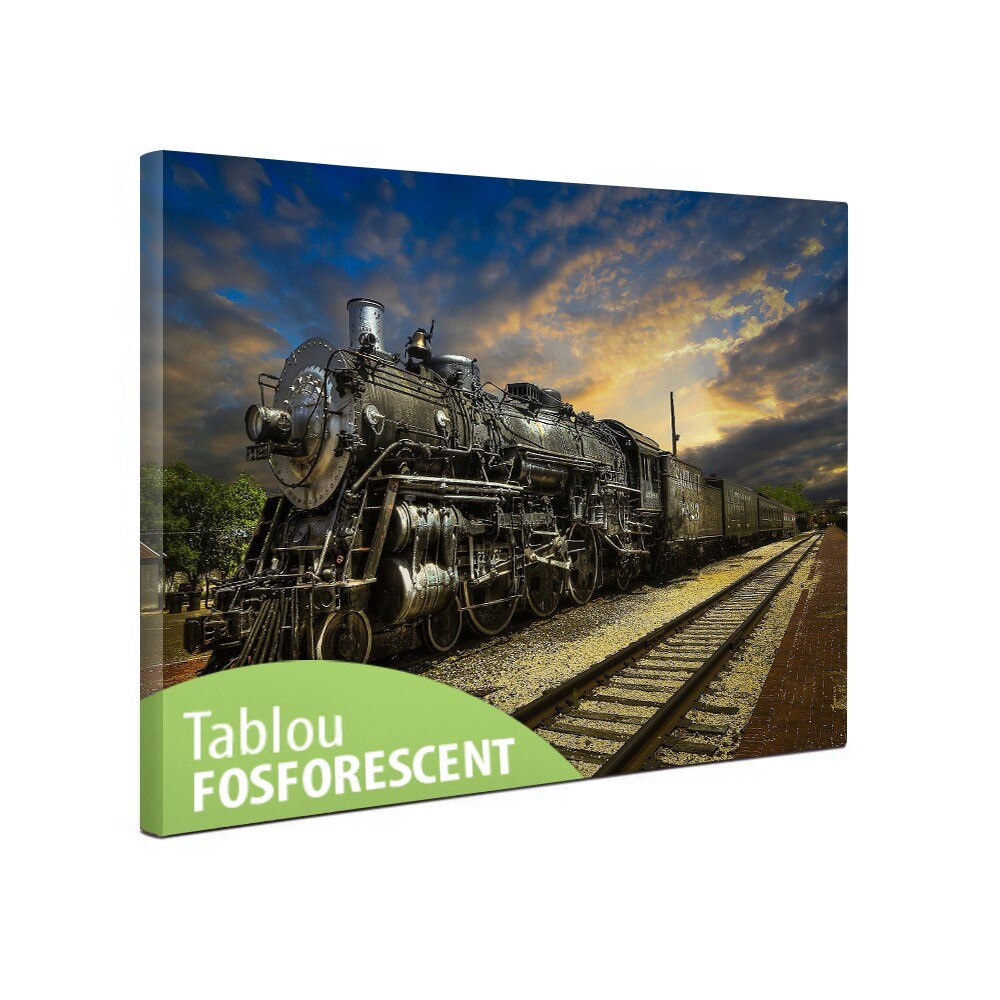 Tablou canvas fosforescent Fantastic Train, 60x40 cm