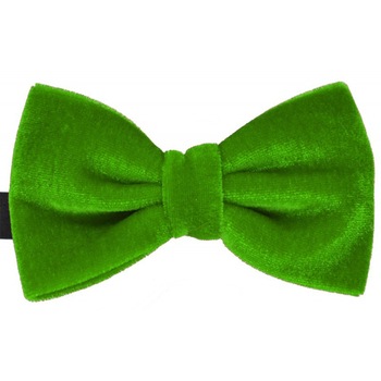 Papion din catifea de culoare verde Papion din catifea de culoare verde