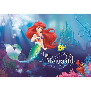 Fototapet copii Ariel hartie print digital Consalnet 533P8 Multicolor 368 x 254 cm Fototapet copii Ariel hartie print digital Consalnet 533P8 Multicolor 368 x 254 cm