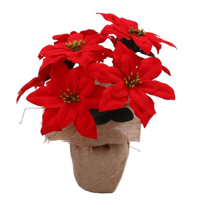 Decoratiune Craciun LikeSmart, tip Craciunita, rosie, H 35 cm