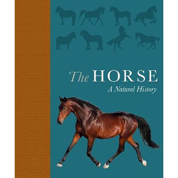 The Horse: A natural history - Debbie Busby,Catrin Rutland