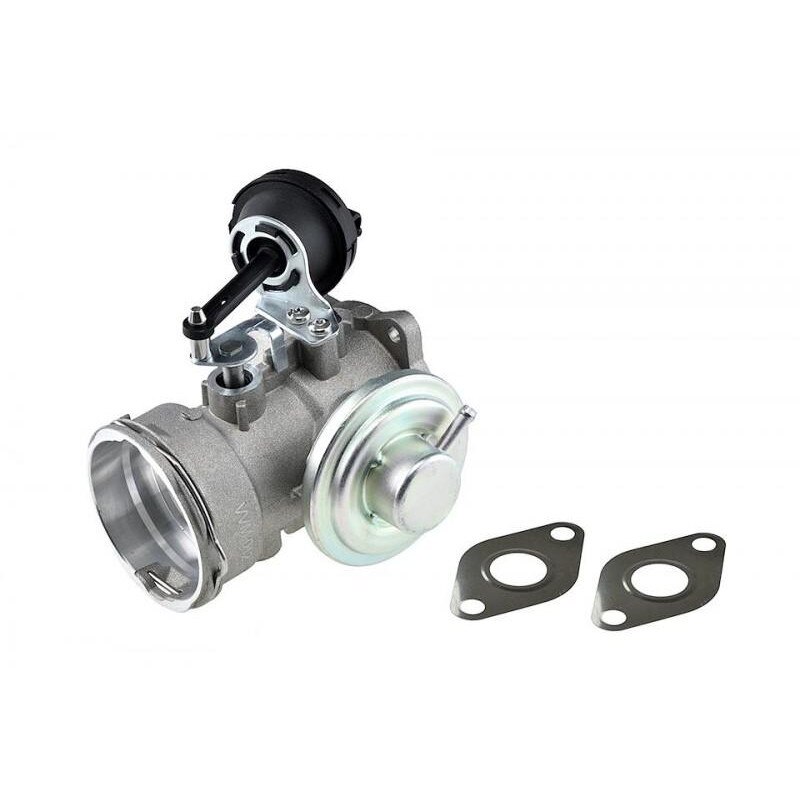 Egr Volkswagen New Beetle (1998-2010) 038131501N