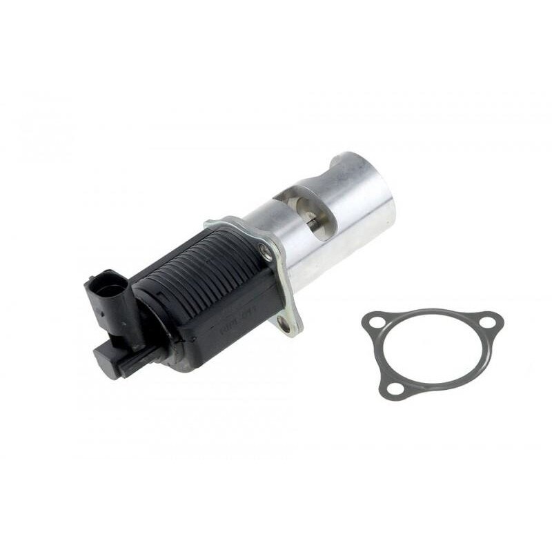 Egr Renault Master (1998-2010) 8200374875