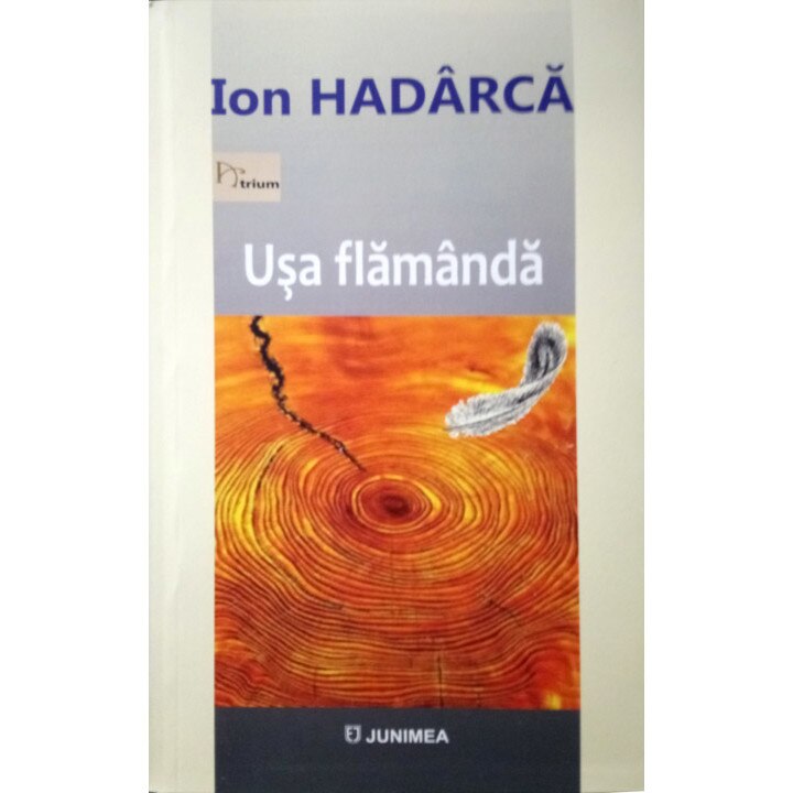 Usa flamanda - Ion Hadarca