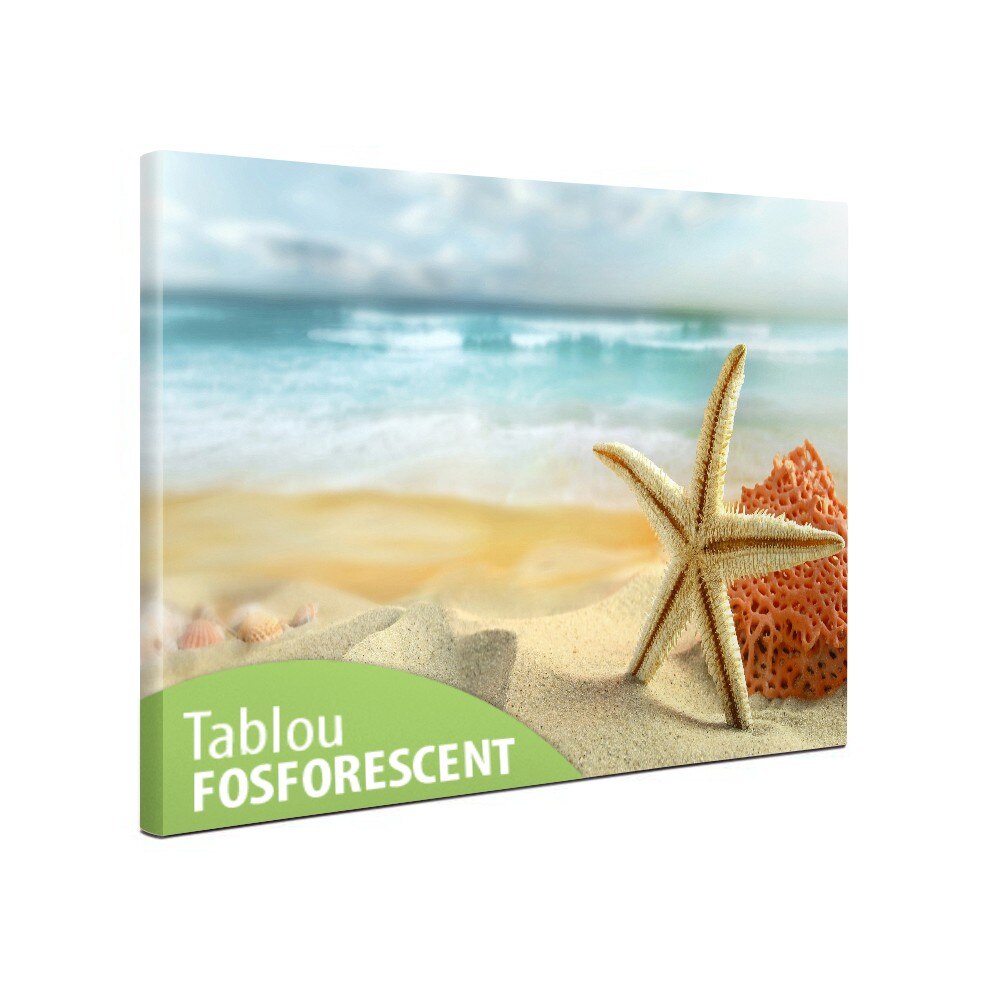 Tablou canvas fosforescent Steluta de mare, 60x40 cm
