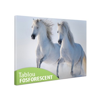Tablou canvas fosforescent Cai albi, 60x40 cm Tablou canvas fosforescent Cai albi, 60x40 cm