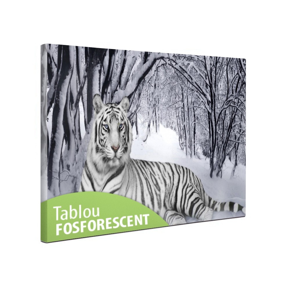 Tablou canvas fosforescent Tigru alb, 80x40 cm