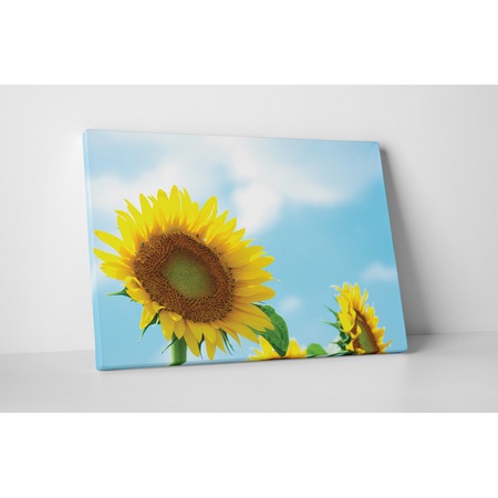 Картини върху канава 4Decor - Цвете и слънчев лъч - 90x120 см