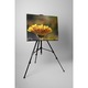 Картини върху канава 4Decor - Гербер - 45x60 см