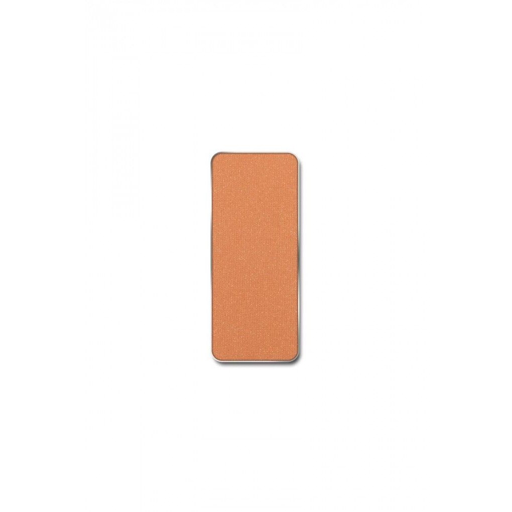 Pastila Rezerva Fard Obraji Blush , Shiny Brown Nr.05 , Pierre Rene