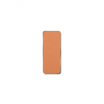 Pastila Rezerva Fard Obraji Blush , Shiny Brown Nr.05 , Pierre Rene Pastila Rezerva Fard Obraji Blush , Shiny Brown Nr.05 , Pierre Rene