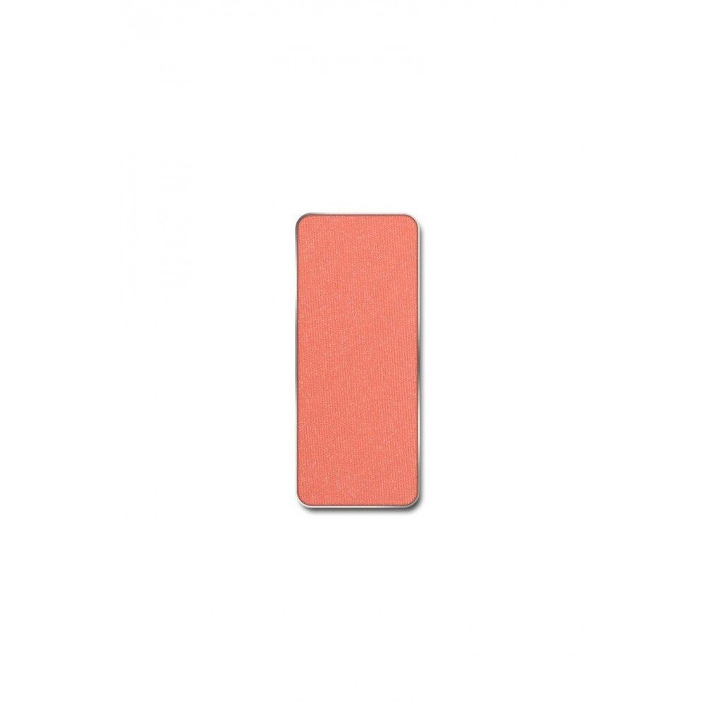 Pastila Rezerva Fard Obraji Blush , Rusty Cheek Nr.07 , Pierre Rene