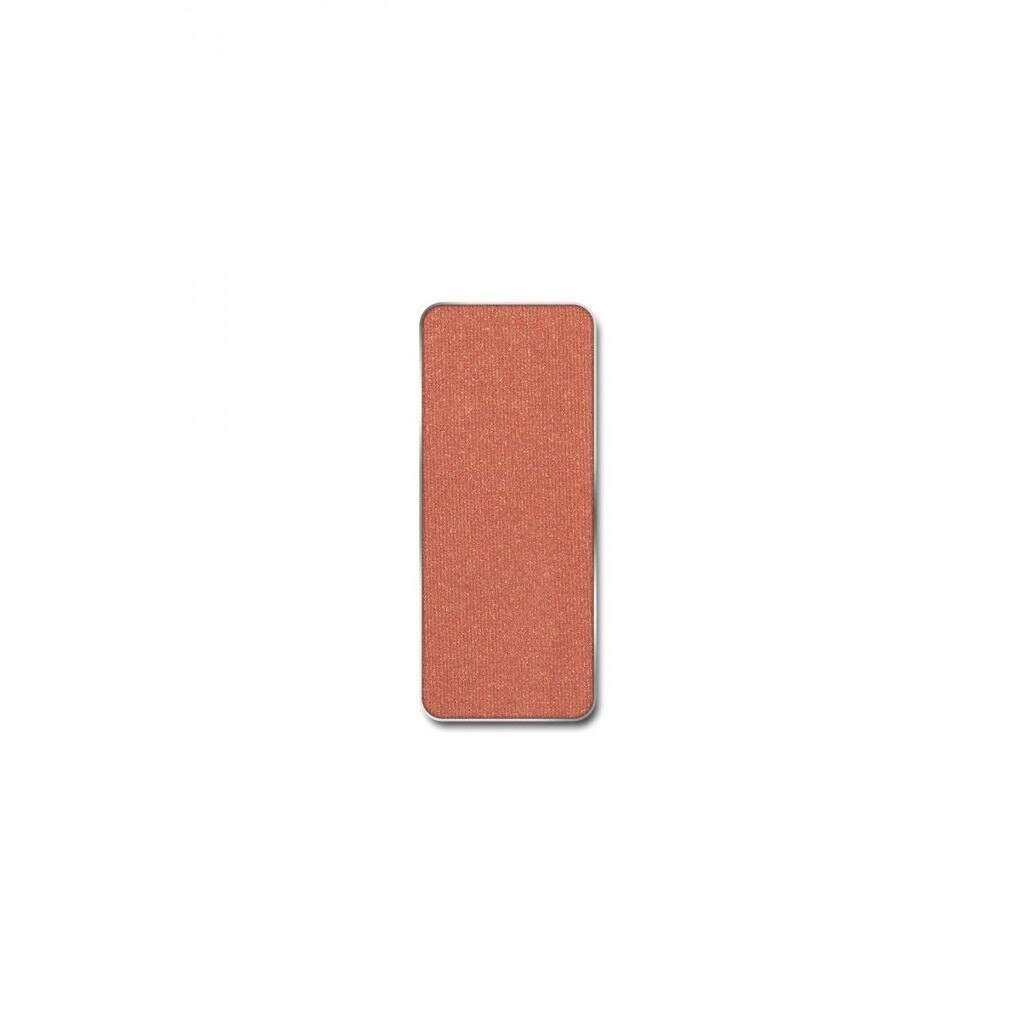 Pastila Rezerva Fard Obraji Blush , Woody Light Nr.06 , Pierre Rene
