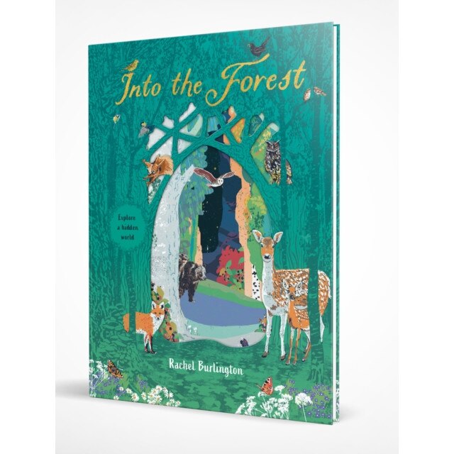 Into the Forest de Rachel Burlington