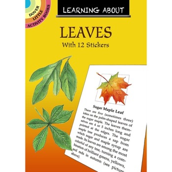 Learning about Leaves: With 12 Stickers de Dot Barlowe Learning about Leaves: With 12 Stickers de Dot Barlowe