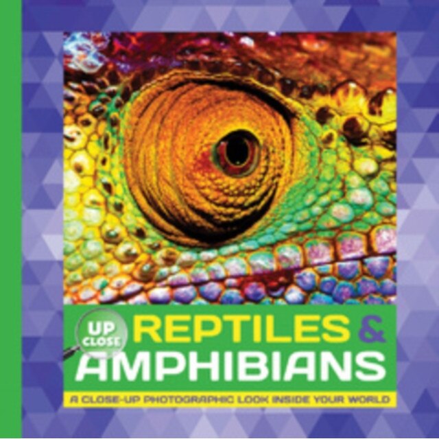 Reptiles & Amphibians de Heidi Fiedler