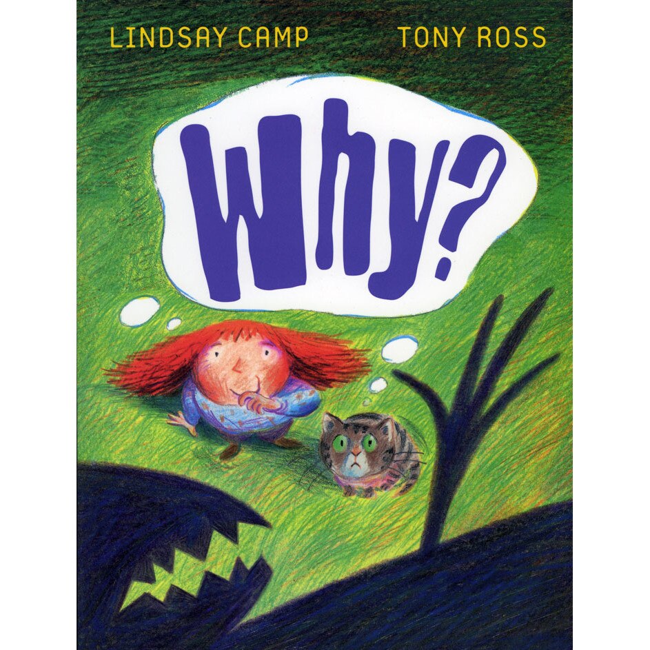 Why? de Lindsay Camp