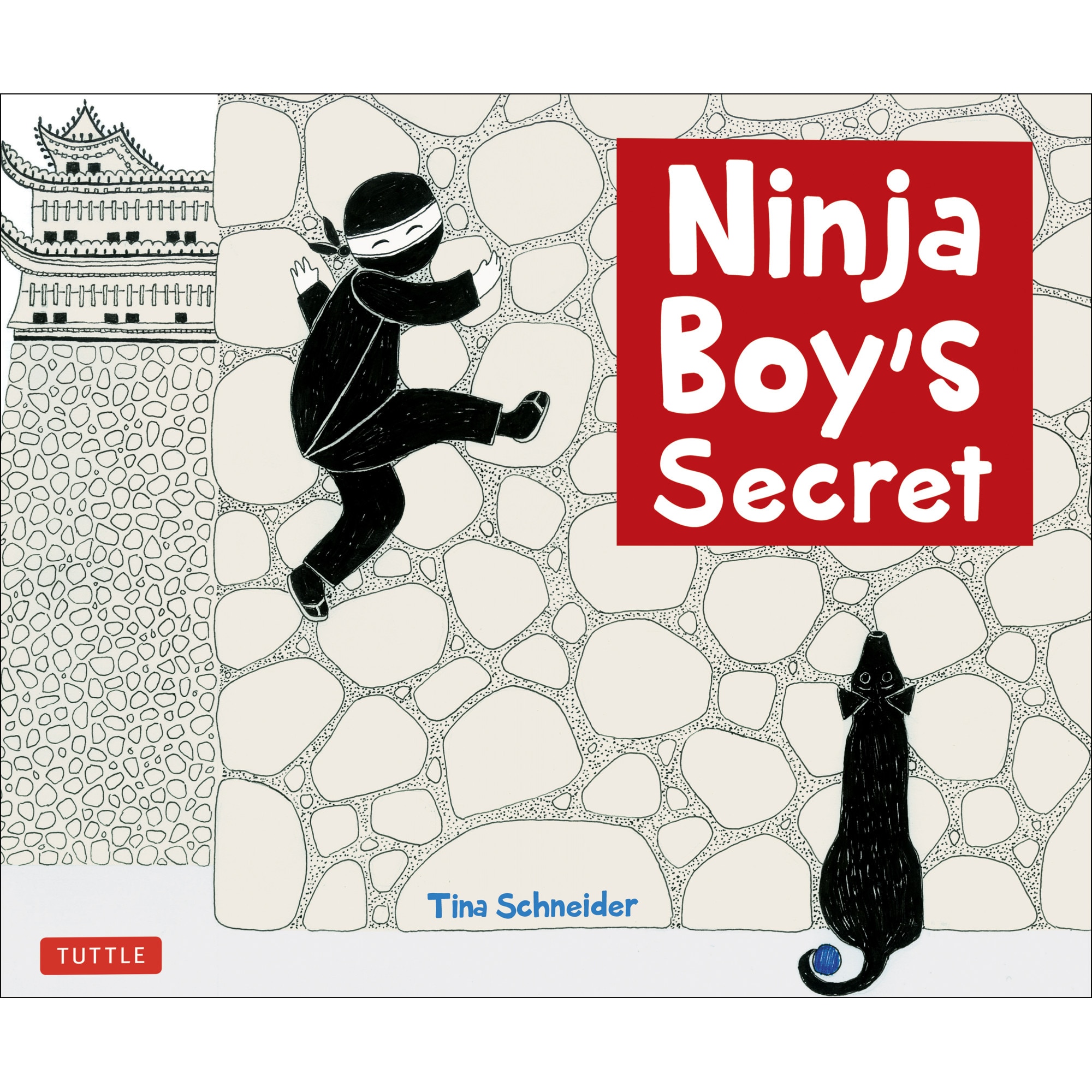 Ninja Boy's Secret de Tina Schneider