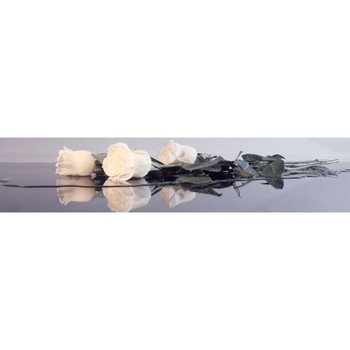 Panou DEGRETS 91582 Trandafiri Alb 2, 61 cm x 2.80 m x 6 mm Panou DEGRETS 91582 Trandafiri Alb 2, 61 cm x 2.80 m x 6 mm