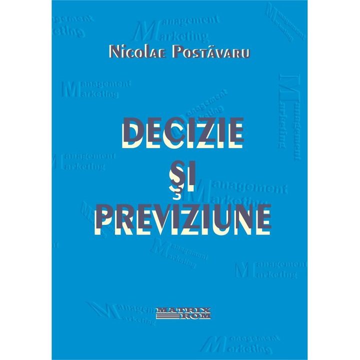 Decizie si previziune, Nicolae Postavaru