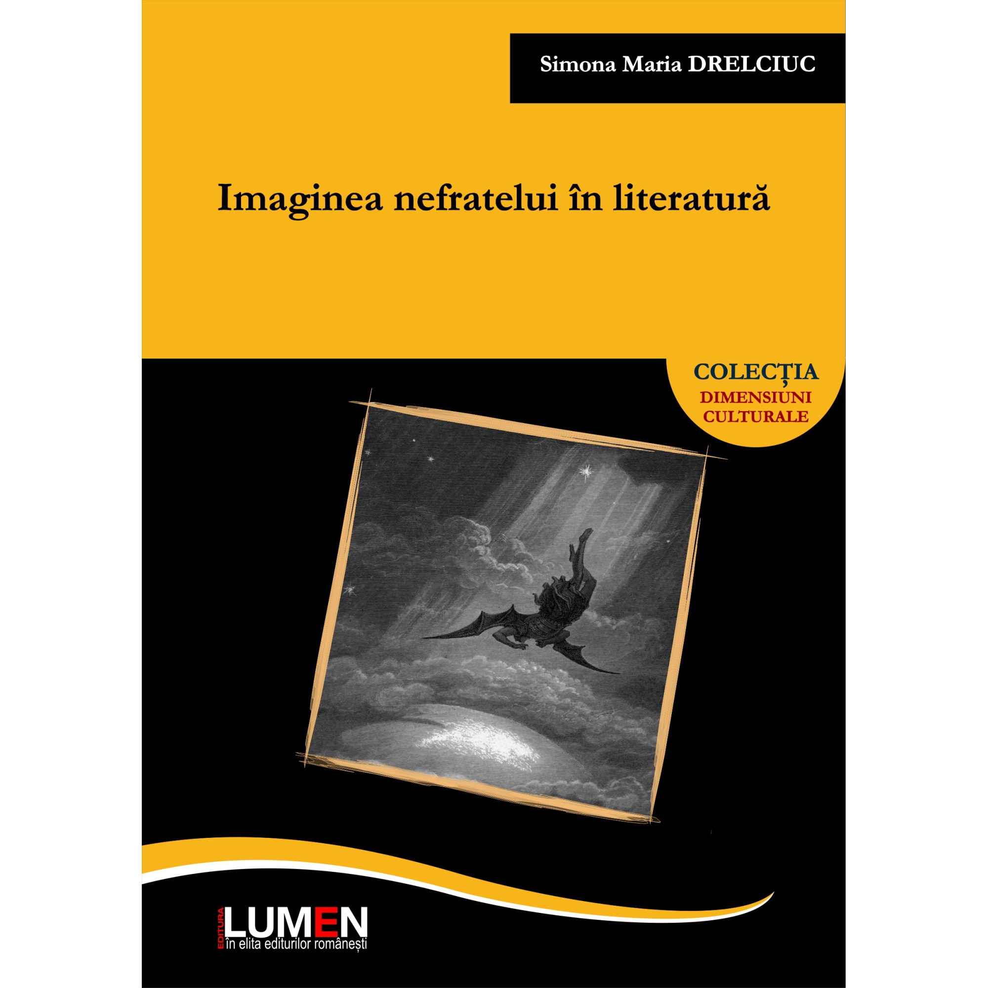 Imaginea nefratelui in literatura, Drelciuc Simona Maria, 364 pagini
