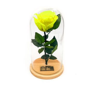 Trandafir Criogenat RA Flower Shop , galben-neon, in bol de sticla Trandafir Criogenat RA Flower Shop , galben-neon, in bol de sticla