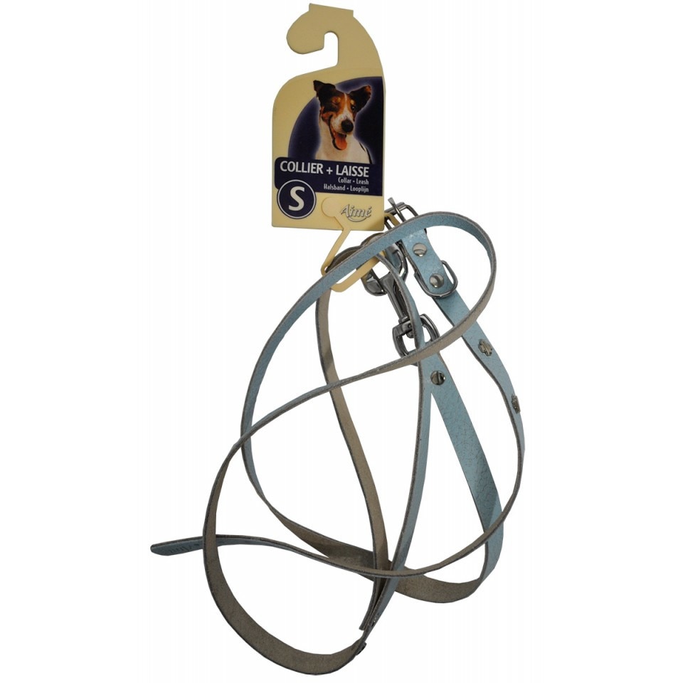 Set lesa si zgarda piele 10mm x 1m / 26-32 cm - 020259