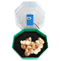 incubator electric pentru oua cu dispozitiv de intoarcere termometru si termohigrometru cleo model 5dth imagen 16_0_
0