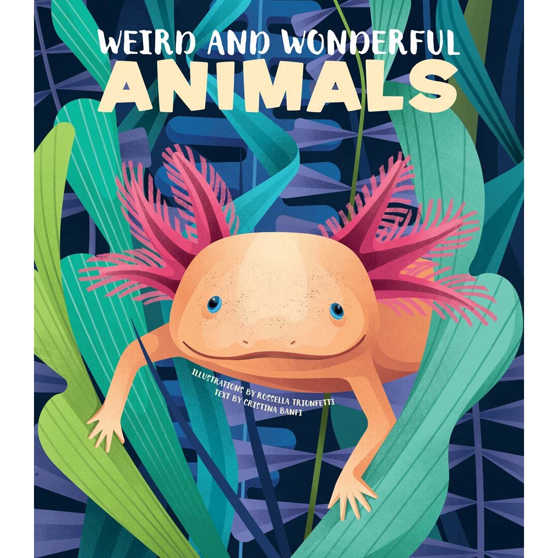 Weird and Wonderful Animals - Cristina Banfi