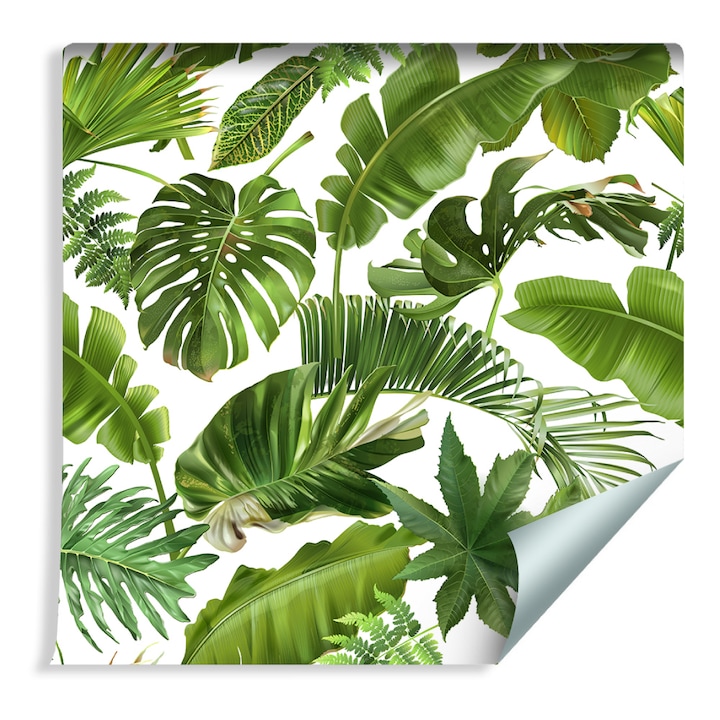 Tapéta Trópusi levelek Méret 53cm x 10m Vlies, Minimalista, Gyerekeknek, Decor 3D, Modern, Nedvességálló, Divatos minta, Kreatív dekoráció