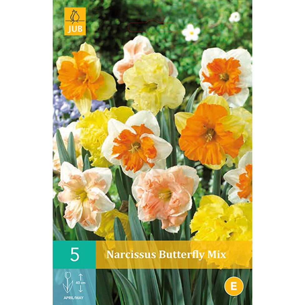 Narcise Butterfly Mix, Holland, Bulbi 5 buc