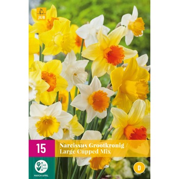 Narcise Large Cup Mix, Holland, Bulbi 15 buc Narcise Large Cup Mix, Holland, Bulbi 15 buc
