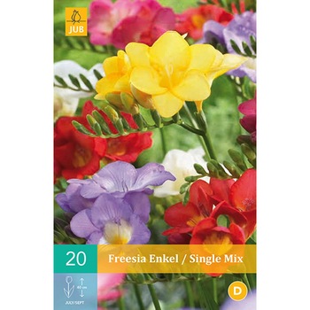 Bulbi Frezii Single Multicolor, Holland, 15 bucati Bulbi Frezii Single Multicolor, Holland, 15 bucati