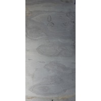 ardezie flexibila stoneflex lux california gold 122 x 61 cm 07442 mpplaca imagen 33_0_
0