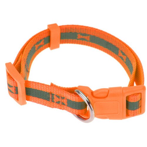 Zgarda pentru catei portocaliu fosforescent 30-50 X 2 cm