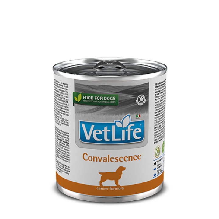 Hrana dietetica pentru caini, Vet Life Convalescence, 300 g