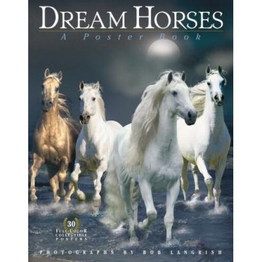 Dream Horses: A Poster Book,