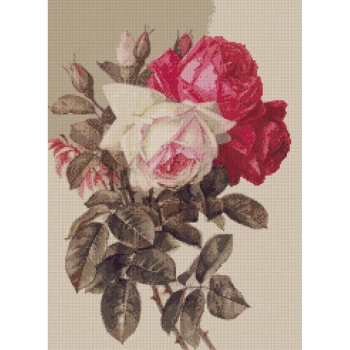 Set goblen, Trandafiri, diagrame A4