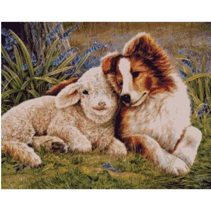 Set goblen, Prietenii, diagrame A4