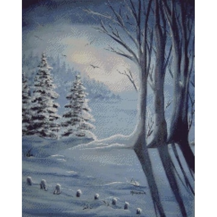 Set goblen, Peisaj de iarna, diagrame A4