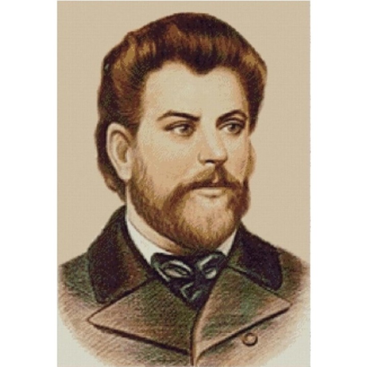 Set goblen, Ion Creanga, diagrame A4