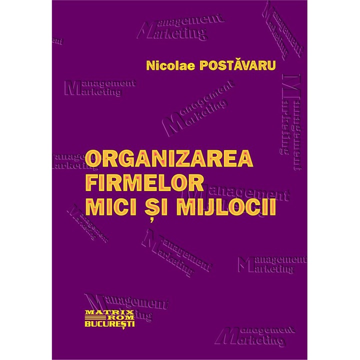 Organizarea firmelor mici si mijlocii, Nicolae Postavaru
